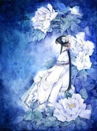 旷世之蝶